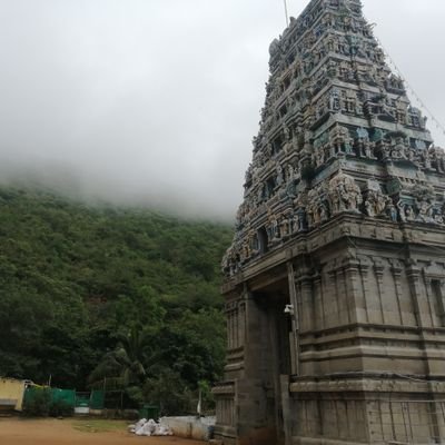 Rohith1825's profile picture. 