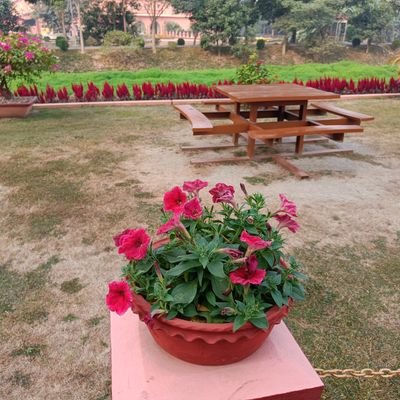 capprio2's profile picture. 