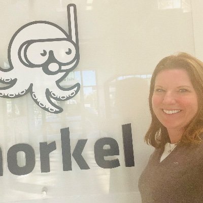 Head of Partnerships, Snorkel AI. Opinions mine.