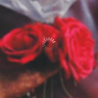 Aishal (@aishal_23) 's Twitter Profile