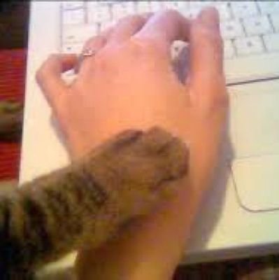 walkemday's profile picture. 