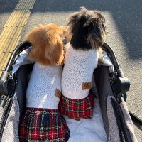 🍑らぶいろ🍑 (@tomo_love_iroha) Twitter profile photo