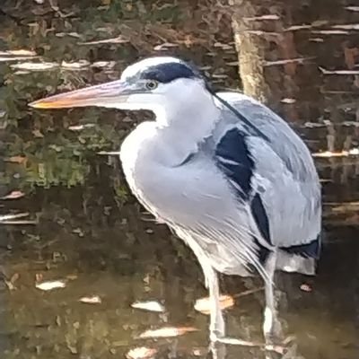 ma03920019's profile picture. 