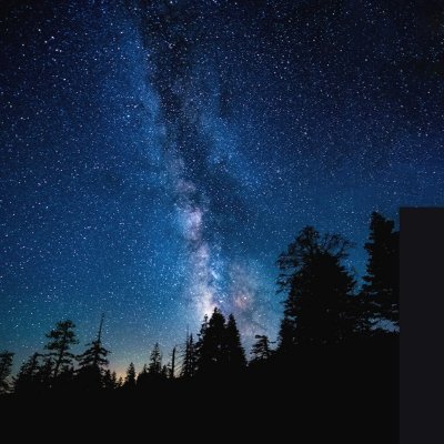 tosky_plus's profile picture. 일상