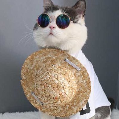 SqLmxN's profile picture. 