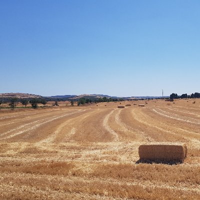 ¡Sé dueño de tus emociones sometiéndolas a tu capacidad económica y serás un jugador responsable! Gestión de expectativas.

...por aquí hablando de Ju€go.