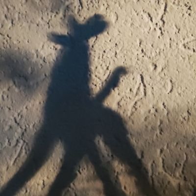 SchumiJoe84's profile picture. 