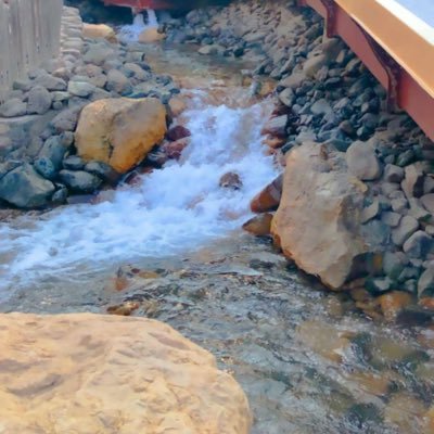 alkhosafi's profile picture. 