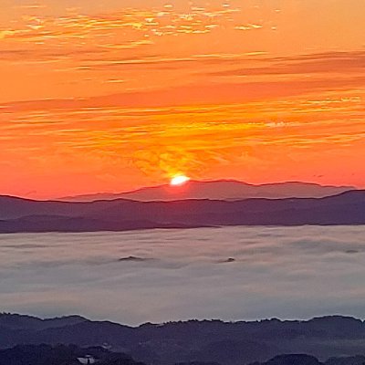 bws113rr's profile picture. たまにバイクいじったり、キャンプしたり、釣りに行ったり、ゲームしたりしているDIY好きオジさんですが、最近は釣りをしながら艦これしかやってないですね。w