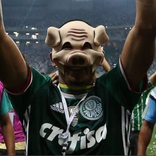 Torcedor apaixonado pela Sociedade Esportiva Palmeiras.💚💚🐷🐷 Comentarista de Twitter...