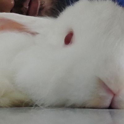 LukeYamato93's profile picture. Malaysian born Javanese (but can't speak Javanese at all), naturalized as Malay