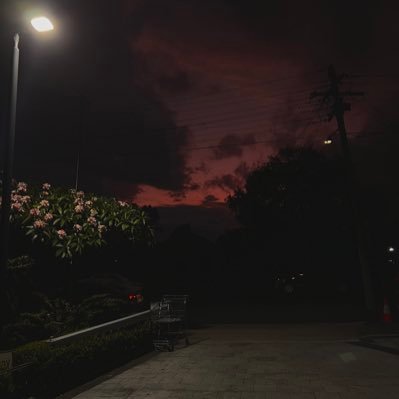 AaribVFX's profile picture. 17 🇵🇰