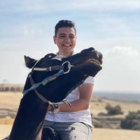 solimanMedhat (@solimanmedhat3) 's Twitter Profile