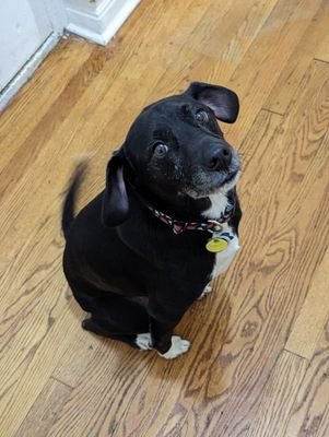 chefmagic008's profile picture. 