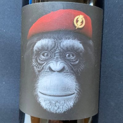 coppinthesun's profile picture. 🇮🇱🎗️Ex RMP, retired AFO/ARV W Yorks. Just because I like a tweet you post doesn’t mean I agree with your politics. ‘Absolutely No DM's’