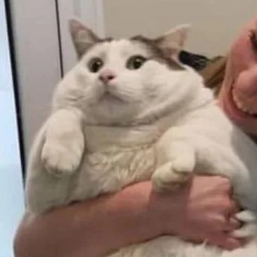 Makara__a's profile picture. 