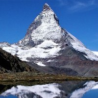 🌲CUU🌲 (@ishiishi_nao) 's Twitter Profile Photo