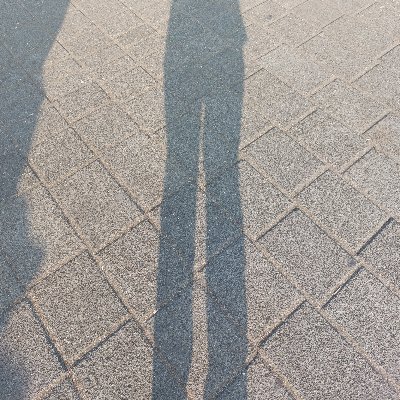 qckabin's profile picture. He/They
math
22