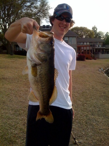 Smutang's profile picture. 