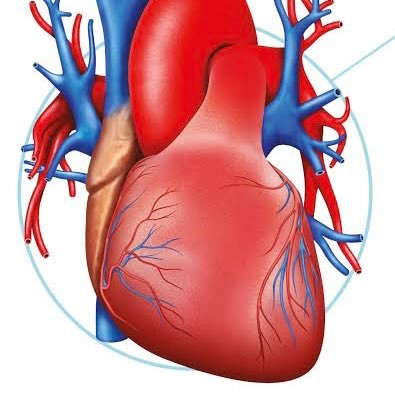 matrix_south's profile picture. 