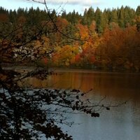 Rouph (@razbugs) 's Twitter Profile