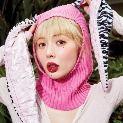 다홍さんのプロフィール画像