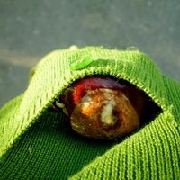 melānija (@melaanija) 's Twitter Profile Photo