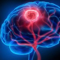 Haydar Lab (@haydar_lab) 's Twitter Profile Photo