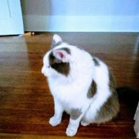 HP Wave (@hpwave1) 's Twitter Profile