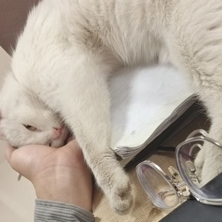 tieniu689's profile picture. 1