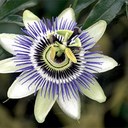 Caroline Rock - @CarolineRock70 - Twitter