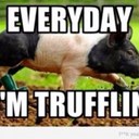 Russell malm - @RussellMalm - Twitter