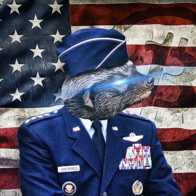 #Bitcoin Supremacist | Freedom Maximalist | Founder of #LaserRayUntil100K | US Air Force Retired | Cofounder of The Meme Factory™ | Small Penis