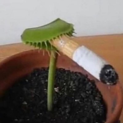 Stunning6550's profile picture. Apenas pra visualização de conteúdo