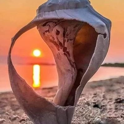 gmoschat's profile picture. 