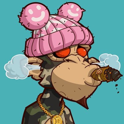 #Artist #Programmer based in Europe.
Creator of #Munkii @munkiilab