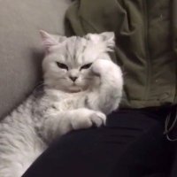 ไวน์. (@wine03_) 's Twitter Profile