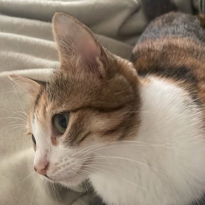 suzume_20220630's profile picture. 