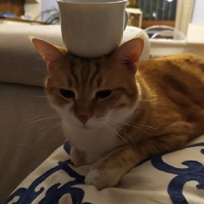 5n0wm3n's profile picture. LFT OCE Support/ Flex Sup Twitch: 5n0wm4n