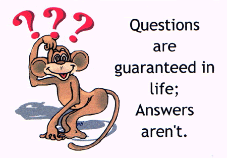 I have a Question!.... #TeamFollowBack
