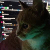 wahmbulance (@vibebulance) Twitter profile photo
