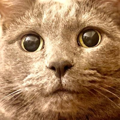 NaoKawadaさんのプロフィール画像