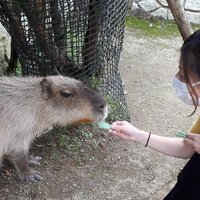 kiyota-chii (@jxuhf83wou9whqf) 's Twitter Profile Photo