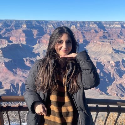 ShirinPersiann's profile picture. 