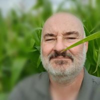 Iain M (@jungliemac) 's Twitter Profile