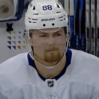 Dylan (@dylnleafs) 's Twitter Profile
