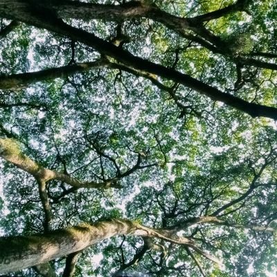 Todos los momentos se perderán en el tiempo como lágrimas en la lluvia.🌈
~Educadora Popular y Artesana, desde el alma. 💚