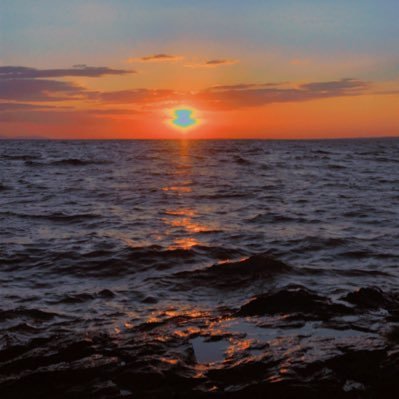 TausiFeruzi's profile picture. Anthropologists: We are the product of our society.