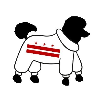 This account documents the dogs in coats of DC. Insta @DogsInCoatsofDC