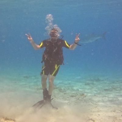 Slybear15's profile picture. 